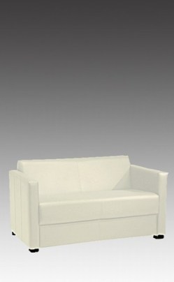 Loungesofa_2_sit_4c69701cceb70.jpg